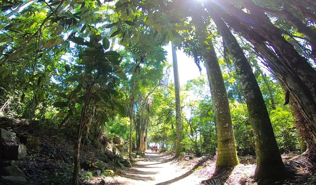 A imagem mostra a trilha da praia preta em Ilha grande